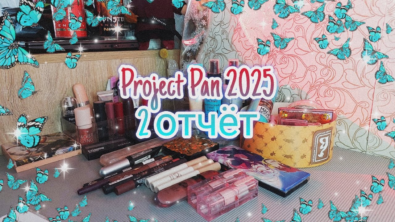 Project Pan 2025/ 2 отчёт