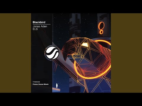 Blackbird (Original Mix)