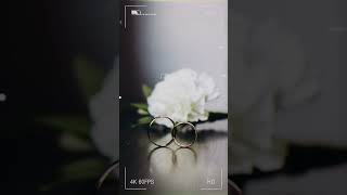 Amor Es Siempre Querer Estar Con Alguien Y No Querer Dejar A Tu Amante Ni Un Segundo.