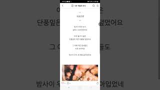 겨울단풍 #자작시#소리#하얀#향수