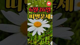 6월26일띠별운세 #하루1분꿀팁 #오늘의운세 #무료운세