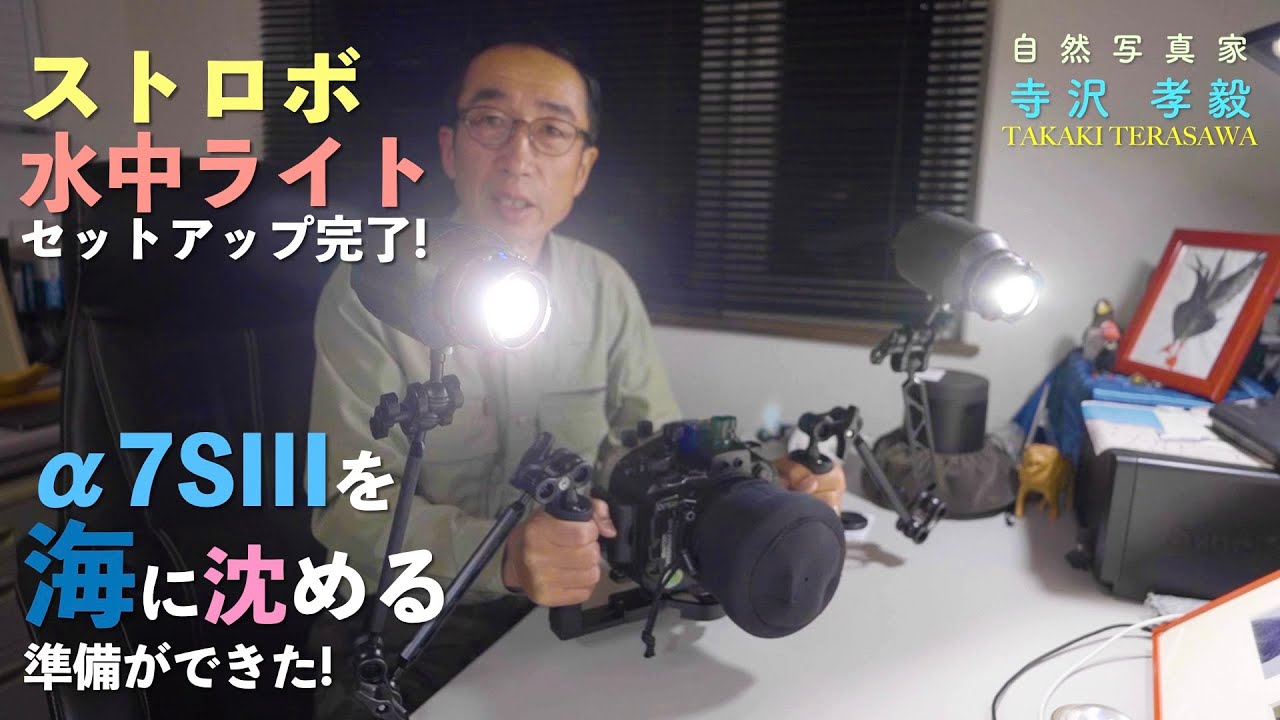 ストロボ・水中ライト セットアップ完了！ α7SⅢ 海に沈める準備ができ