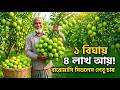 লেবু চাষে বড় লাভ | ১০০ গাছে বছরে লাখ টাকা আয় সম্ভব