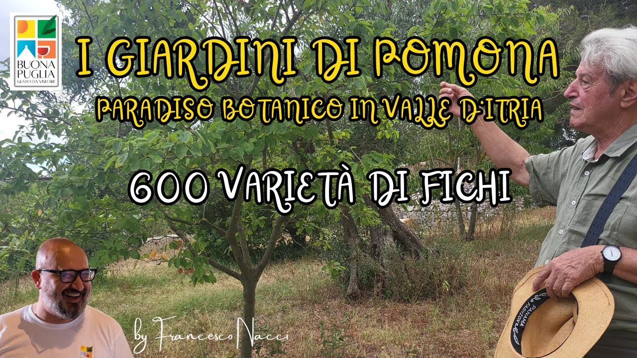 I GIARDINI DI POMONA: paradiso botanico in Valle d'Itria con 600 varietà di fichi