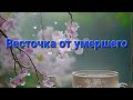 ✨️✨️🕊Весточка от умершего, от ушедшей в мир иной Души ✨️✨️🌺🌺