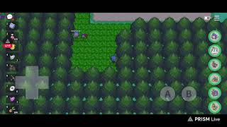 POKEDEX COMPLETED !! TIME FOR SUICUNE -LIVE🔴