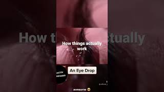 How things actually works #fyp #shorts #viral #everyone #tiktok #tiktokchina