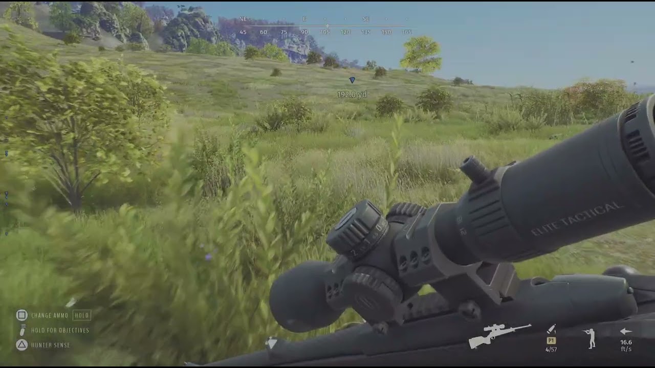 Way of the Hunter 5 Star Wild Boar 🐗😅💕💯 Transylania