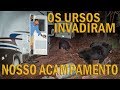 OS URSOS INVADIRAM NOSSO ACAMPAMENTO NO ALASCA! | RICHARD RASMUSSEN
