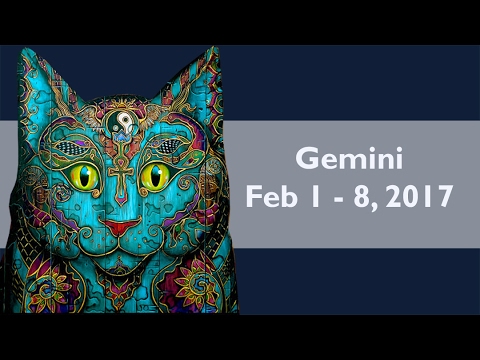 twinflames1111 GEMINI WEEKLY Taroscopes February 2 - February 8, 2017 ***KITTY TOUCH!*** Cat Tarot Cat Tarot