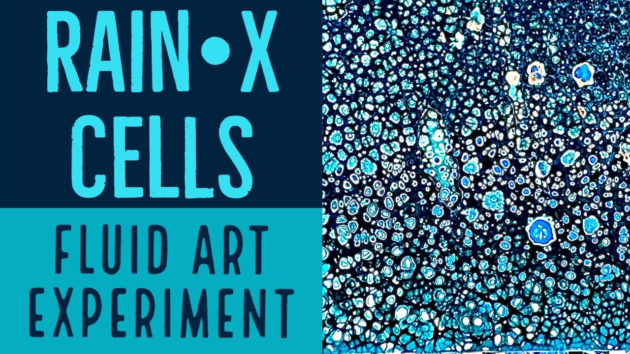 (18) Fluid Art - Using Rain•X to Create Beautiful Cells - YouTube