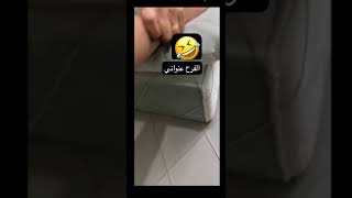 مقطع يضحك يموت ضحك لولد غلط باسم أخته امه شكت بولدها وسوت معه تحقيق ونشبت له الا يعترف مين ينادي ضرب