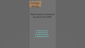 Neural Control and Coordination | Class 11 | Zoology MCQs | Neet 2023-24 | Daksh Kunj