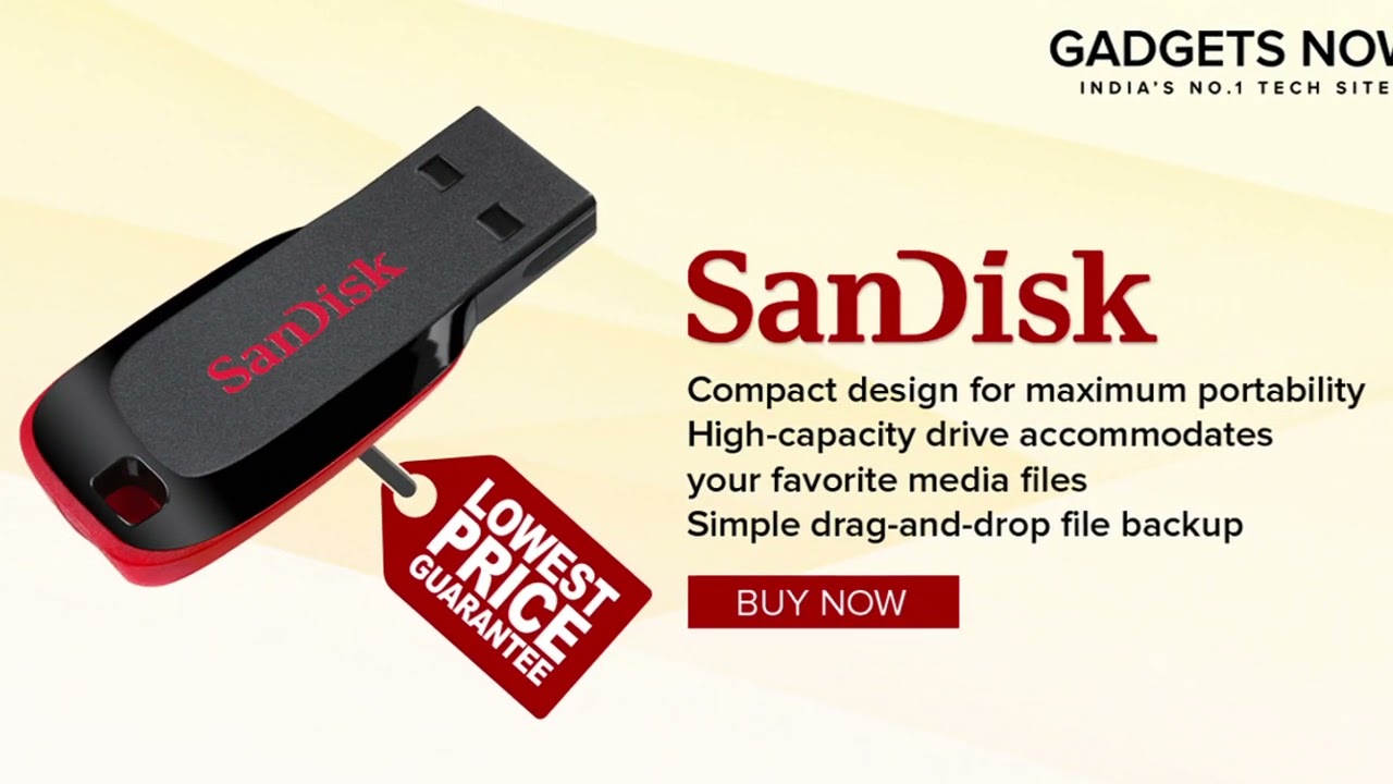 Sandisk Cruzer Blade 32GB USB 2.0 Flash Drive SDCZ50-032G-B35 (Red-Black)