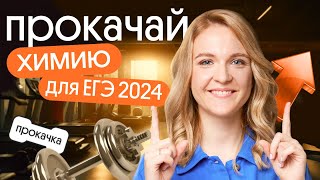 Прокачай химию для ЕГЭ 2024