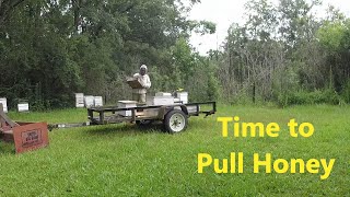 Stripping Honey Supers