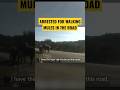 Arrested For Lawfully Traveling... With MULES!? - Lawsuit!