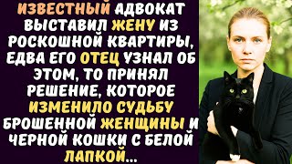 видео: Директор приюта увидела как кошка протянула лапку к женщине Что произошло не возможно сдержать слез. картинка: Директор приюта увидела как кошка протянула лапку к женщине Что произошло не возможно сдержать слез.