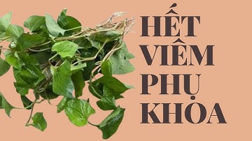 TÔI ĐÃ CHỮA KHỎI VIÊM PHỤ KHOA  NHANH CHÓNG NHỜ BÀI THUỐC BÍ TRUYỀN CỦA LƯƠNG Y VÙNG  BIỂN.