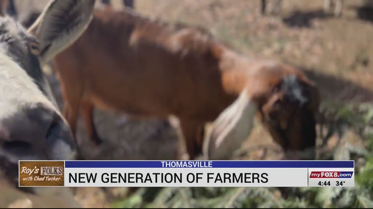 New generation of farmers in Thomasville YouTube