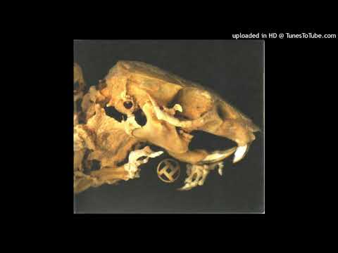 Rot In Hell — Rot In Hell - As Pearls Before Swine [Full Album]