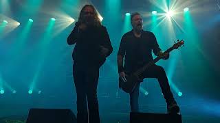 The Halo Effect Cruel Perception 12 Feb 2025   Tavaraasema Tdanere