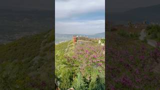 Denizli Bağbaşı Yaylası Manzarası