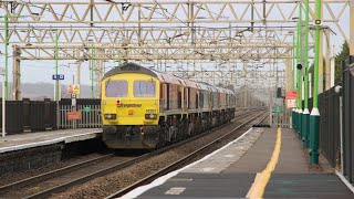 Seven up on 6X59 - Freightliner class 59s go to Crewe! 24.12.22