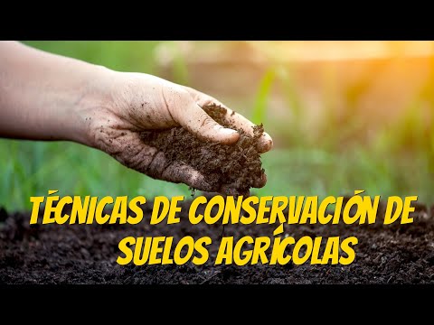 Video: ¿Qué práctica ayudará a conservar los recursos del suelo?