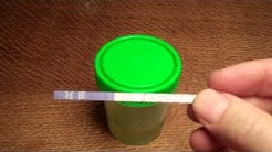 Cannabis Drug Testing- Cannabis THC test strip instructions, detection times & results