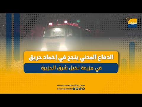 الدفاع المدني ينجح في إخماد حريق في مزرعة نخيل شرق الجزيرة