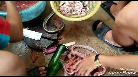 Cách rút xương Rắn(Đẻn). Đặc sản miền Tây.