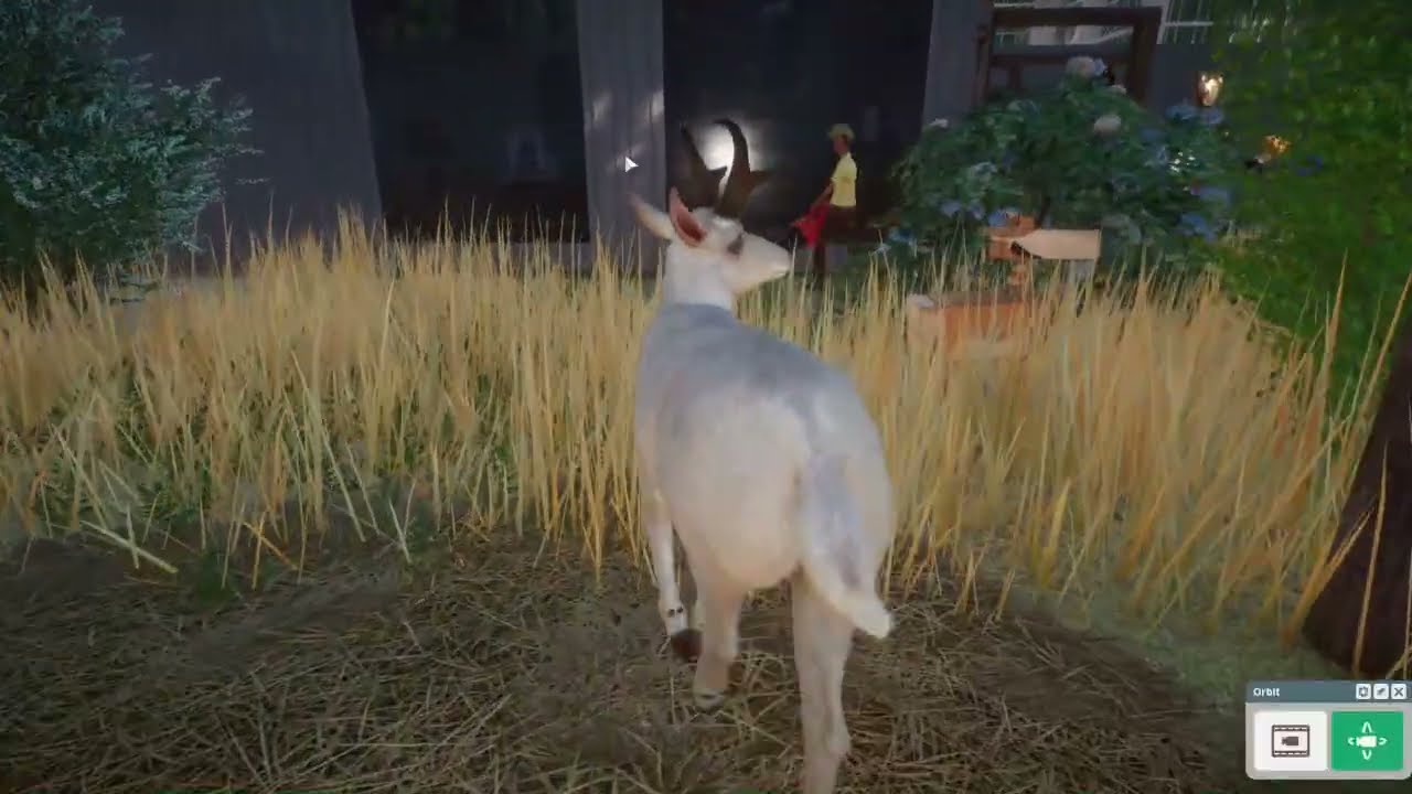 Adding PRONGHORN ANTELOPES to the Franchise Zoo!