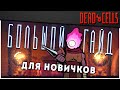 Dead Cells | Большой Гайд для Новичков