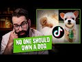 Matt Walsh Reviews Adorable Dog Videos