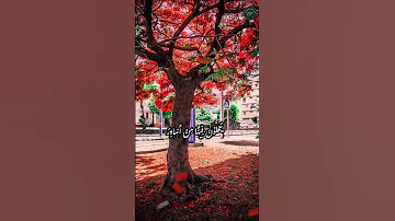 جنات عدن يدخلونها يحلون فيها من أساور 