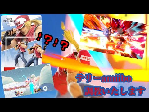 【ゆっくり実況】弟子（amiibo）に対しても容赦なく超必殺ラッシュのテリー君【テリー/SSBU】