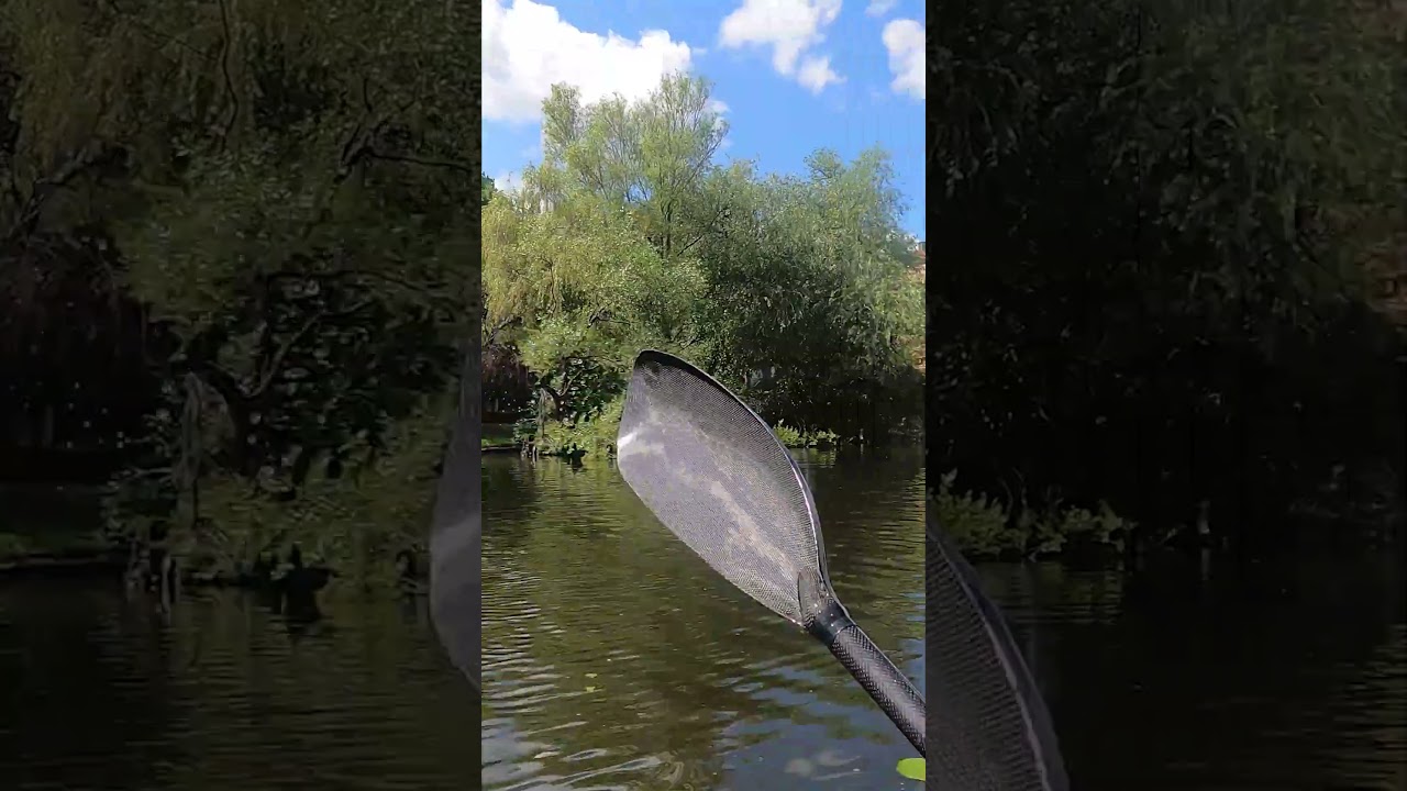 Canal paddling in green central Stockholm (Itiwit X500 inflatable kayak)