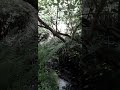 A Courtly Embrace by the Brook. Cheeky Cringe Of The Day.