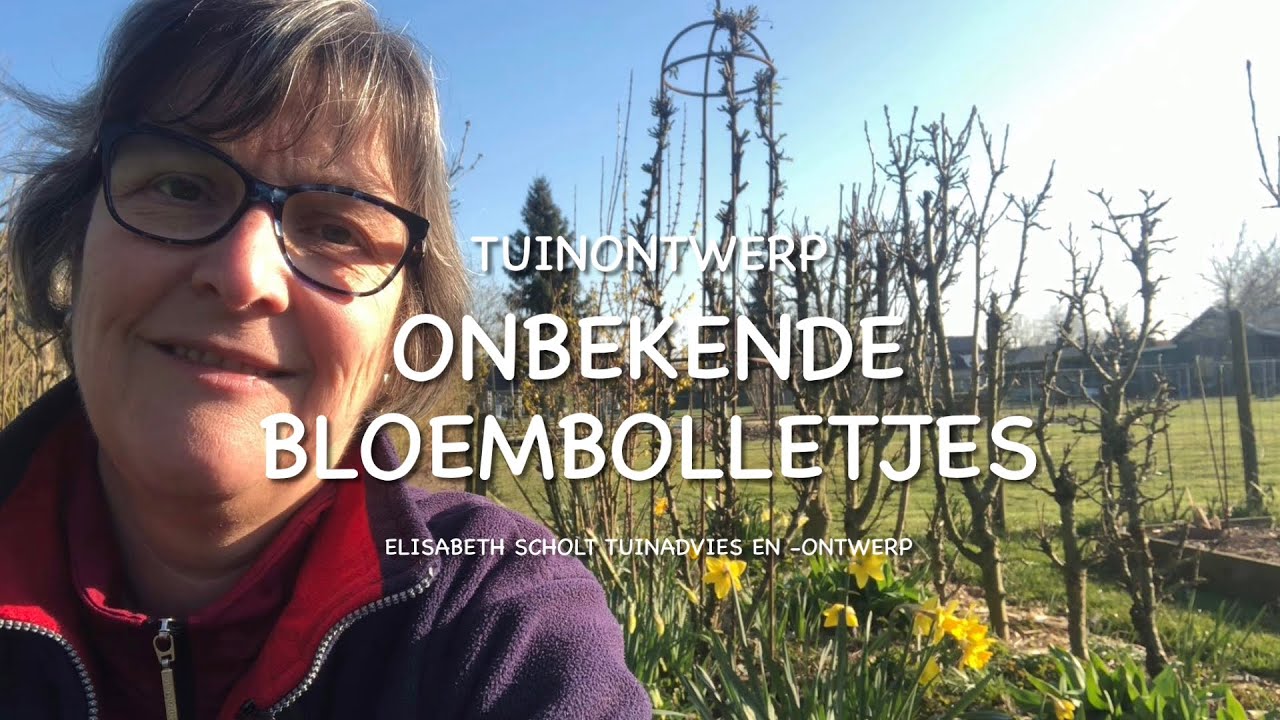 MAAK KENNIS MET DEZE VERRASSENDE ONBEKENDE BLOEMBOLLEN