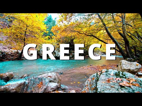 Greece | Travel guide : Discover Karpenisi Magic Forest hiking trail | 4K ASMR video