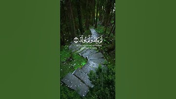 #القرآن _الكريم#سورة_الإخلاص #اكسبلور #اللهم صل وسلم وبارك على نبينا محمد