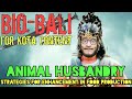 Strategies for Enhancement in Food Production: Animal Husbandry | BioBali Series for NEET ft. Vipin