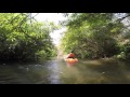 Kayak a  chiang dao jungle adventure from chiang mai thailand