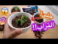 جربت طبخات من الانستقرام سهله وسريعة