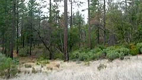 Homes for Sale - 00 Bardees Bar Rd Oroville CA 959...