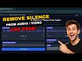 Remove Silence from Audio / Video for Free | One-Click