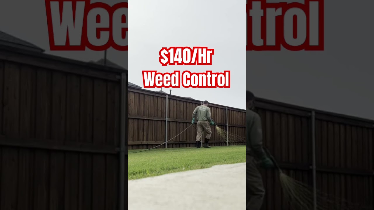 Making Money Spraying Weeds in Lawns