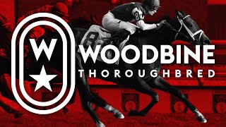 Woodbine, Tbred, April 28, 2024 Race 9 | Woodbine Horse Race Replay