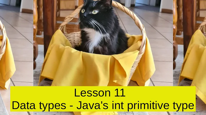 Lesson 11   Data types   Java's int primitive type